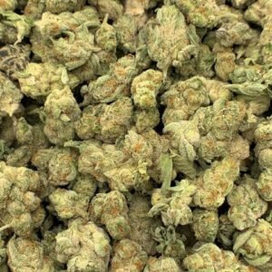 Gelato THC-O Flower wholesale bulk order