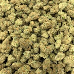 Harlequin CBN Flower wholesale bulk deals