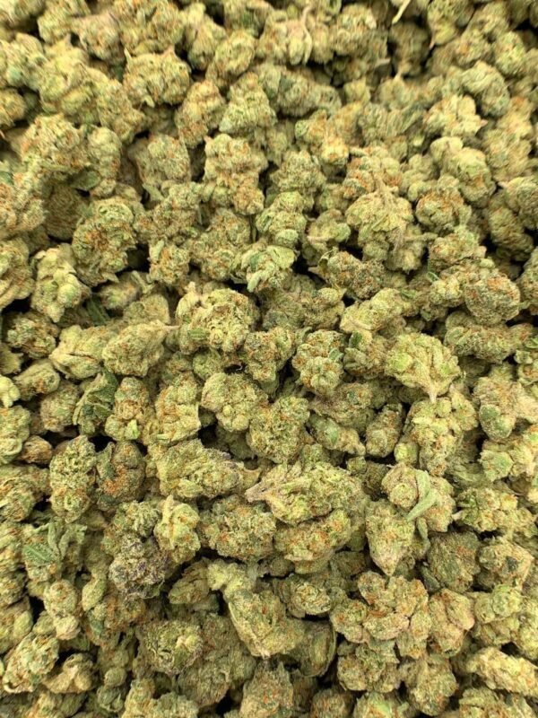 Mango Haze HHC Flower bulk wholesale deals