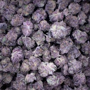 Northern Lights Delta-9 THC Flower wholesale bulk orders