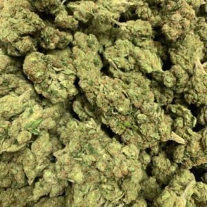 Creamy Pine CBDV Flower - Premium Hemp Buds