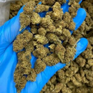 Euphoria Delta-8 THC Flower - Premium Cannabis Buds