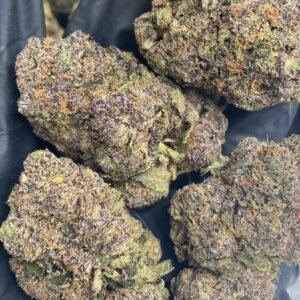 Forest Berry CBDV Flower - Premium Hemp Buds