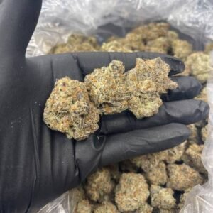 Lemon Cream CBG Flower - Premium Hemp Buds.