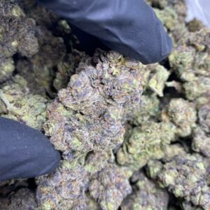 Lemon Haze CBDV Flower - Premium Hemp Buds