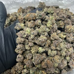 Oreoz THCa Flower - Premium Cannabis Buds