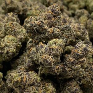 Peppermint Chill CBDV Flower - Premium Hemp Buds