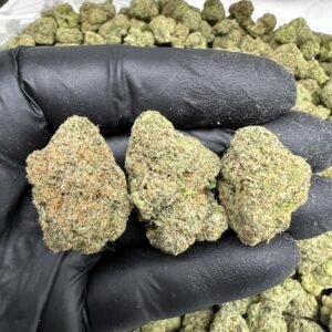 Pineberry Delight CBDV Flower - Premium Hemp Buds