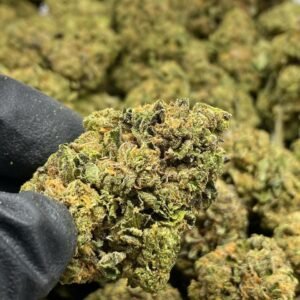 Spicy Zest Delta-8 THC Flower - Premium Cannabis Buds