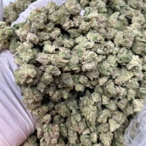 Tangilope THCa Flower premium cannabis buds with vibrant orange hairs and frosty trichomes, offering a sweet citrus aroma with hints of chocolate.