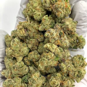 Berry Essence CBG Flower - Premium Hemp Buds