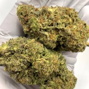 Bad Apple THCa Flower - Unique Wholesale Cannabis Strain