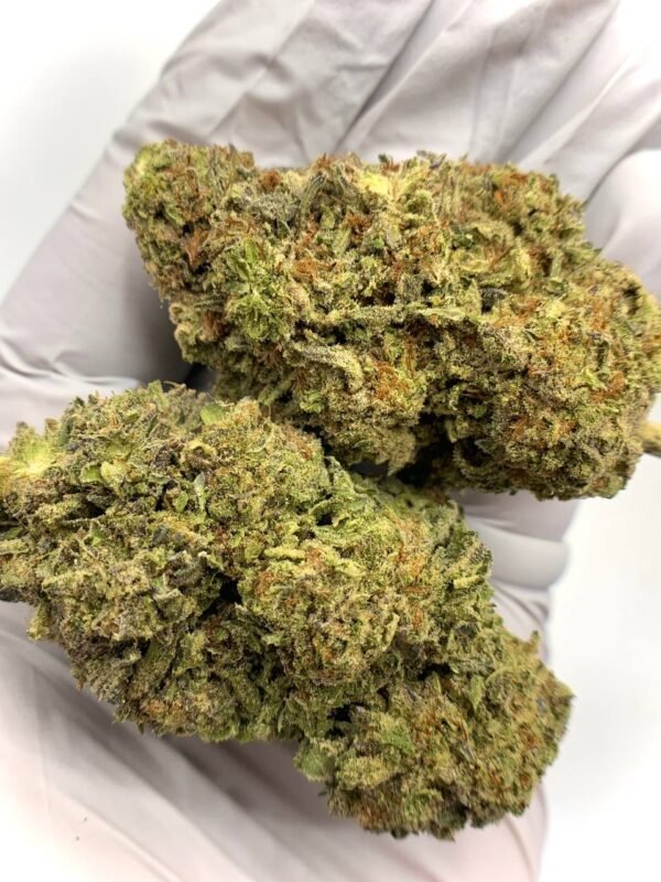 Bad Apple THCa Flower - Unique Wholesale Cannabis Strain