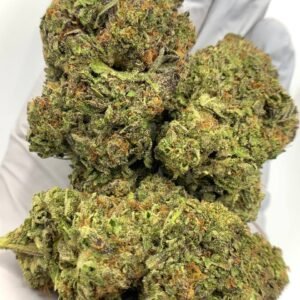 Buy Jelly Roll THCa Flower - Sweet & Potent Wholesale Cannabis Strain