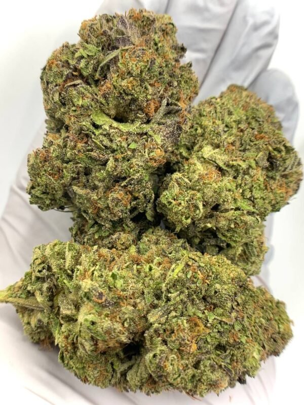 Buy Jelly Roll THCa Flower - Sweet & Potent Wholesale Cannabis Strain