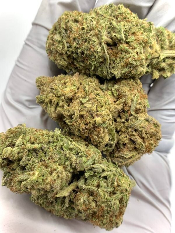 MAC THCa Flower For Sale - Premium Wholesale Cannabis Strain